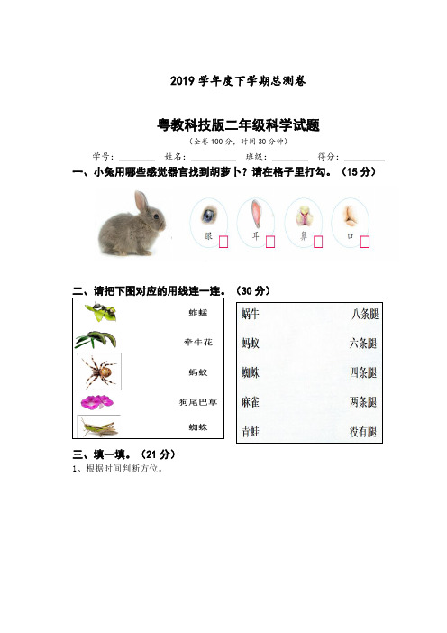 二年级下册科学试卷-期末   粤教版(无答案)