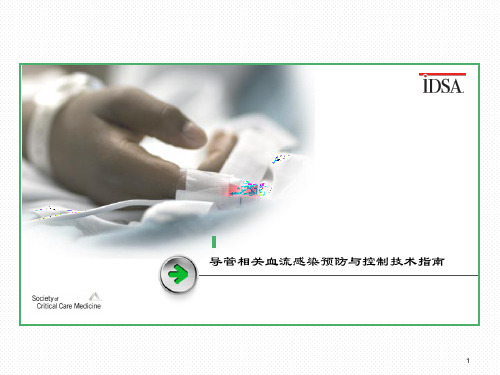 导管相关血流感染预防与控制技术指南PPT课件