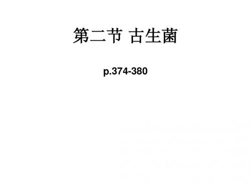 3.2古生菌 (NXPowerLite)