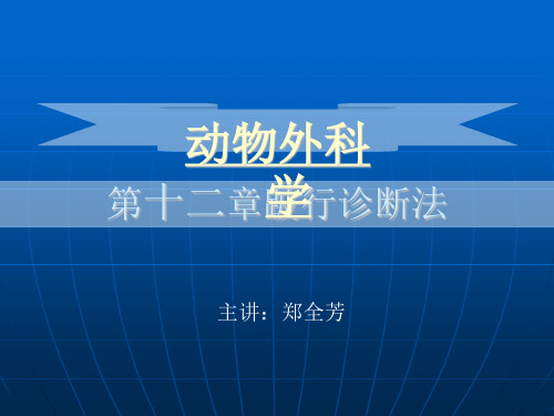 第十二章跛行诊断法