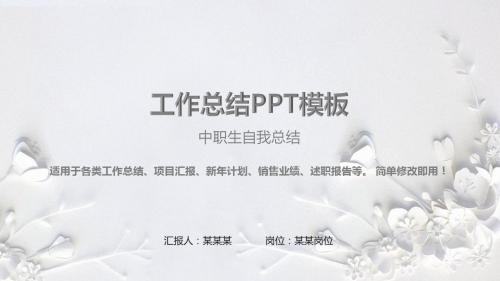 大气精美-中职生自我总结