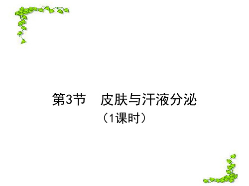 北师大版七年级下册第十一章第3节皮肤和汗液分泌 课件(共21张PPT)(共21张PPT)