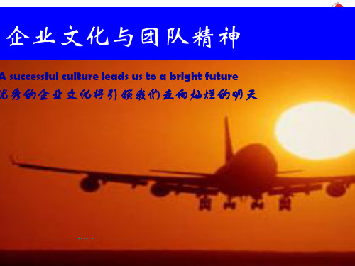 企业文化与团队的力量(ppt 91页)