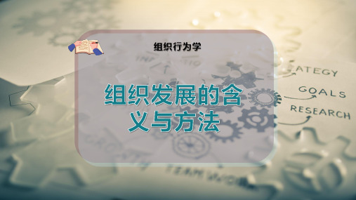 组织发展的含义与方法