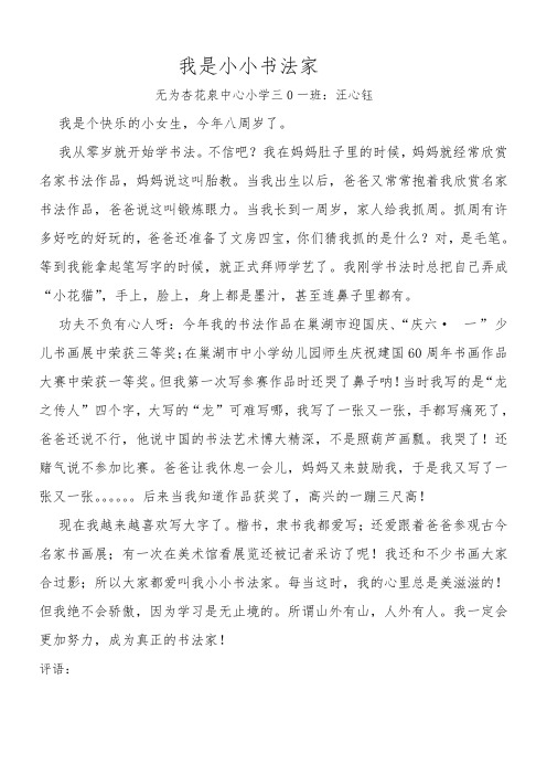 我是小小书法家