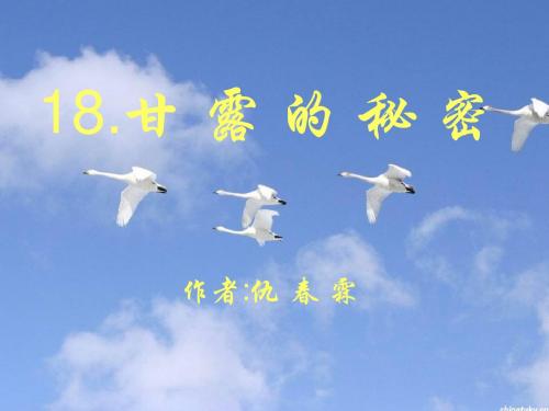 甘露的秘密ppt4 鄂教版