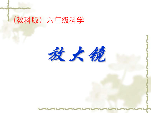 放大镜》PPT