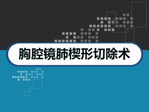 胸腔镜肺楔形切除术 PPT