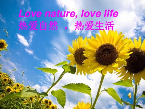 陕西旅游版出版社小学五年级英语