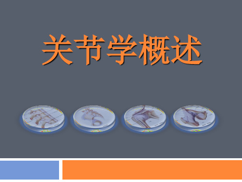关节学总论课件