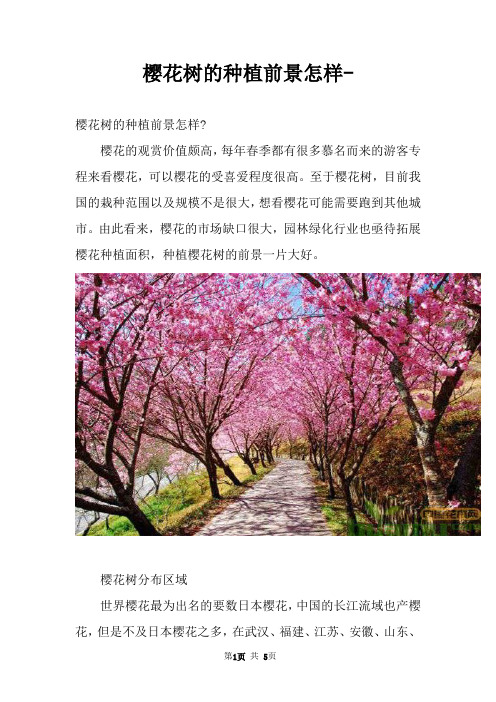 樱花树的种植前景怎样
