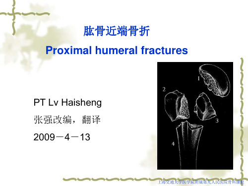 肱骨近端骨折中文版 ppt课件