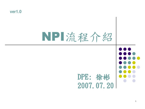 NPI流程