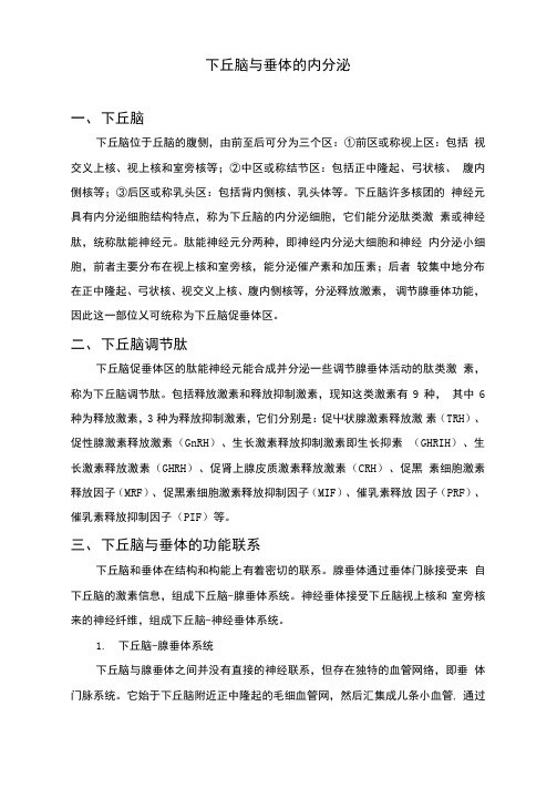下丘脑垂体和甲状腺的内分泌