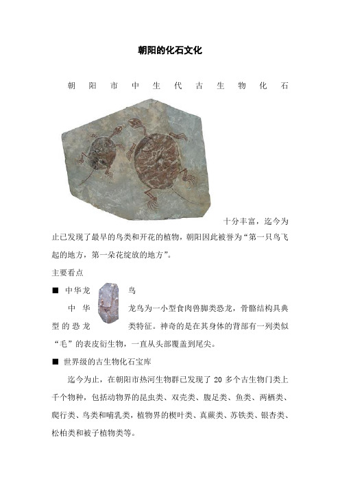 朝阳化石文化