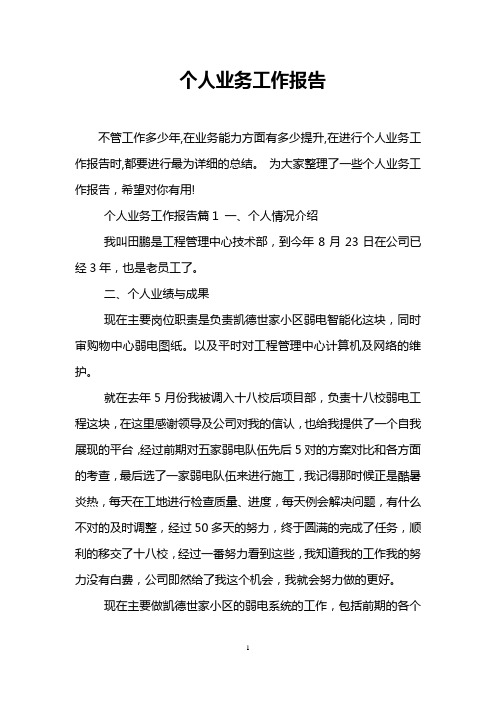 个人业务工作报告