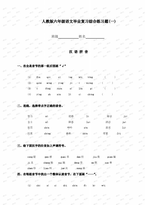 (人教版)六年级语文毕业复习综合练习题