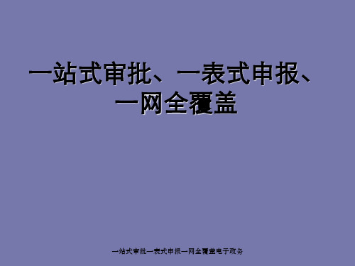 一站式审批一表式申报一网全覆盖电子政务
