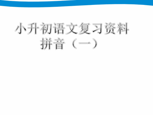 小升初语文专项复习一--拼音PPT