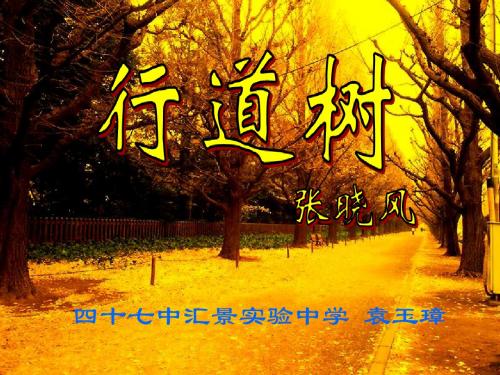 行道树PPT课件123 人教版 (共23张PPT)