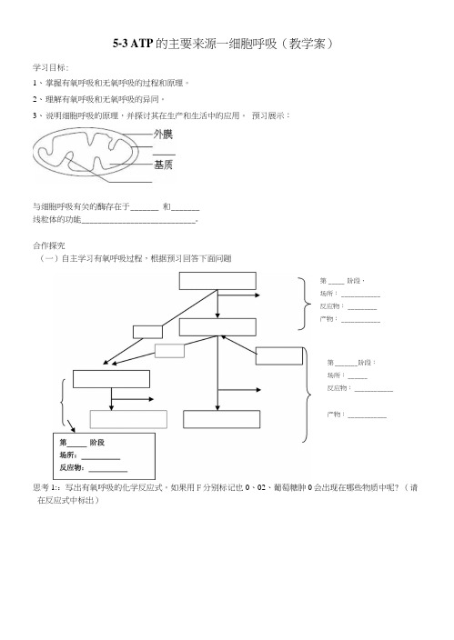 5-3细胞呼吸(教学案).doc