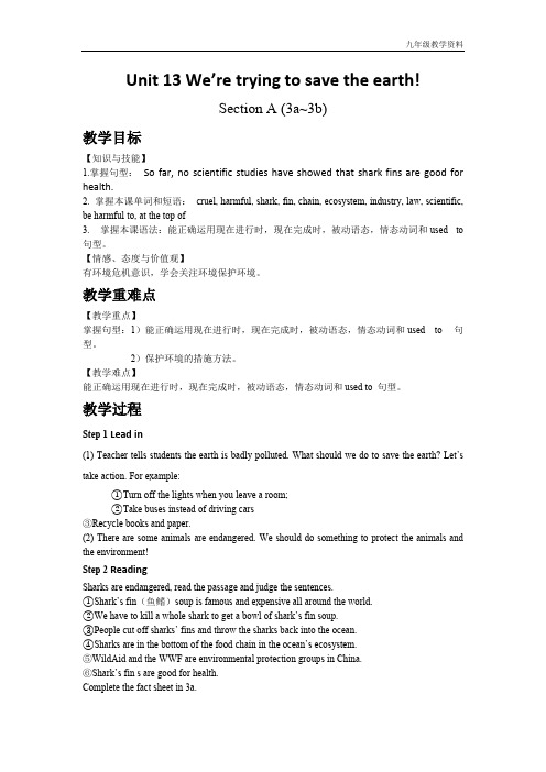 人教版九年级英语Unit 13 Section A (3a~3b)
