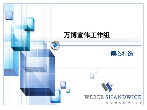 万博宣伟简介及案例分析