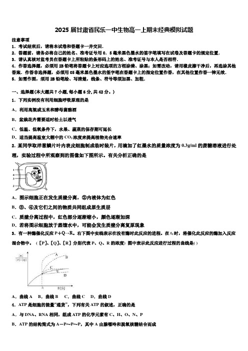 2025届甘肃省民乐一中生物高一上期末经典模拟试题含解析