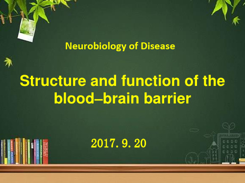 血脑屏障(英文版) PPT