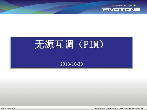 PIM讲解