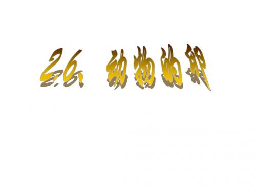2.6动物的卵