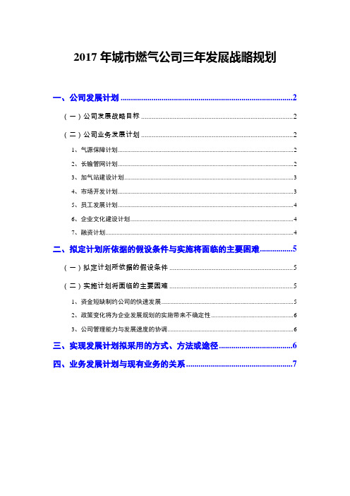 2017年城市燃气公司三年发展战略规划