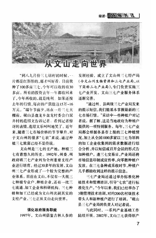 从文山走向世界