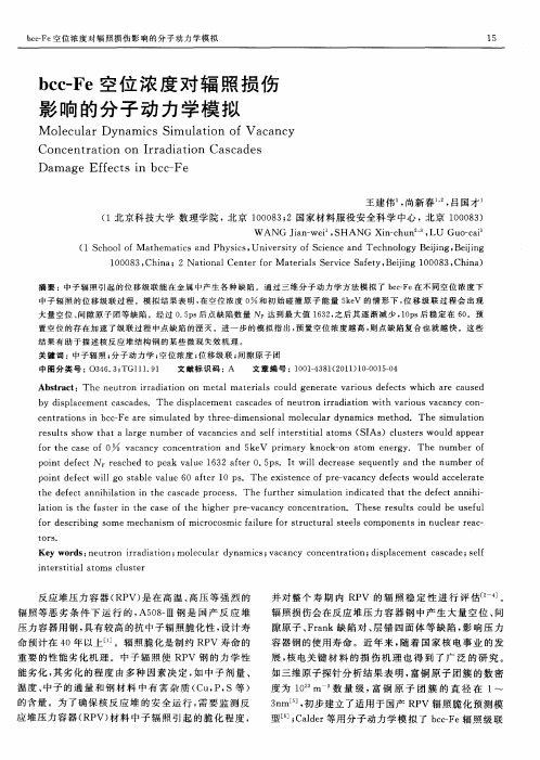 bcc-Fe空位浓度对辐照损伤影响的分子动力学模拟