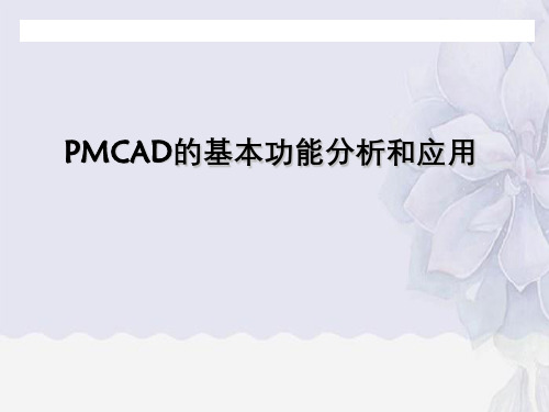 PMCAD基本功能分析与应用
