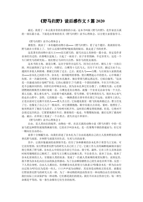 《野马归野》读后感作文5篇2020
