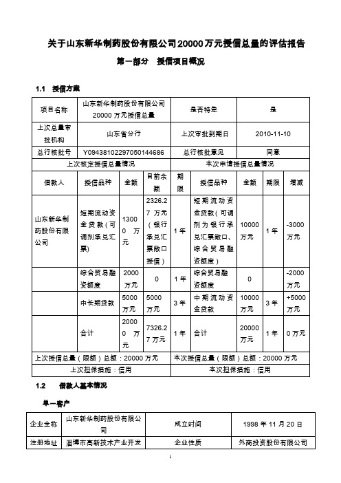 新华制药2010年总量评估报告DOC