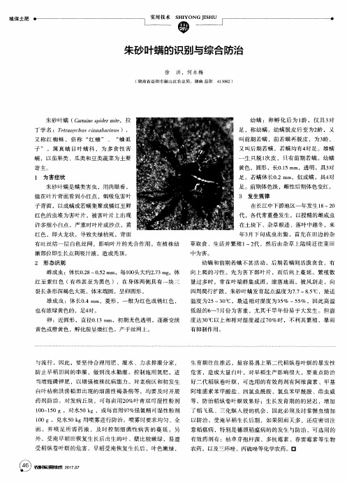 朱砂叶螨的识别与综合防治