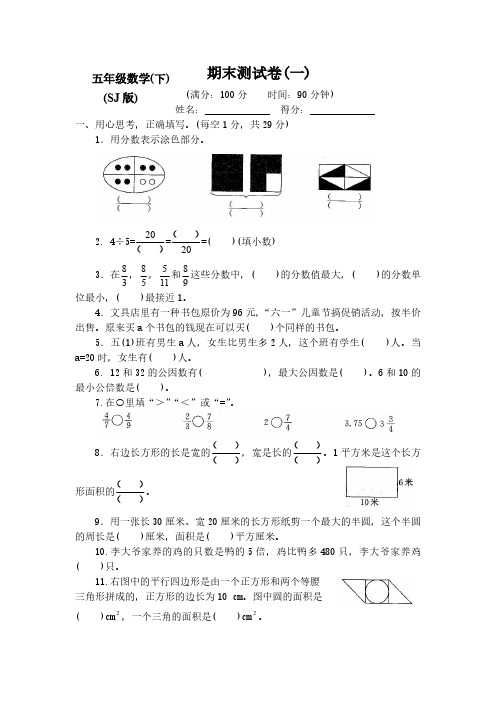 新苏教版小学5五年级数学下册期末测评试卷【附答案】