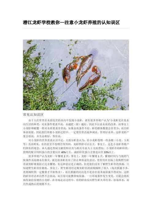 小龙虾养殖的认知误区