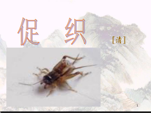 《促织》教学详解PPT精品课件