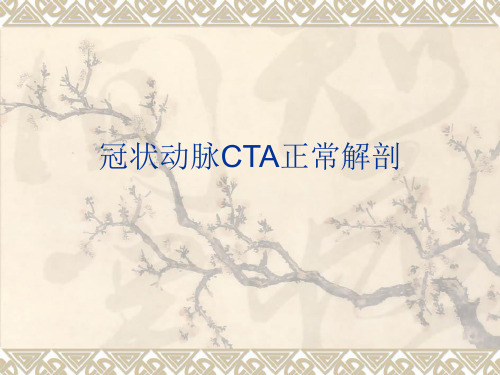 冠状动脉CTA正常解剖