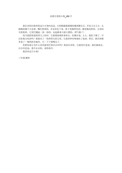 活泼可爱的小狗(250字作文)