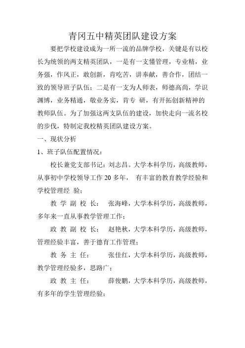 青冈五中精英团队建设方案 333