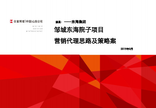 邹城市东海院子2019年营销思路及策略