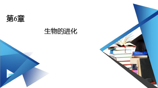 2021年高中生物人教版(新教材)必修2课件：第6章 第3节 第1课时 种群基因组成的变化 