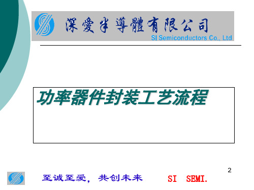 功率器件封装工艺流程 ppt课件