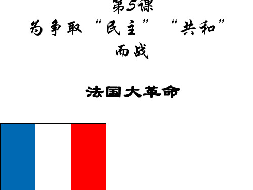 北师大九年级上册 第5课为争取“民主”“共和”而战