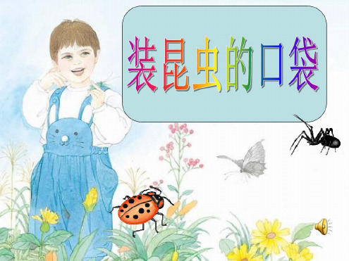 26装满昆虫的口袋课件