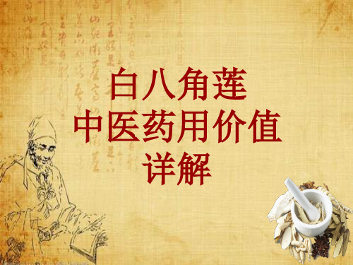 中药学_白八角莲_药材详解课件模板